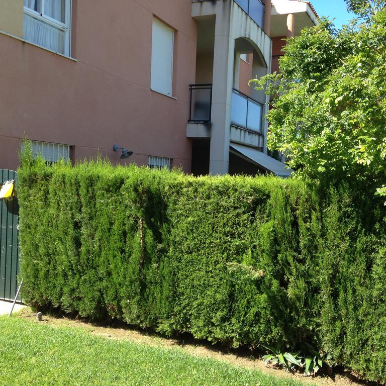 Costa Ballena Apartment Exterior foto